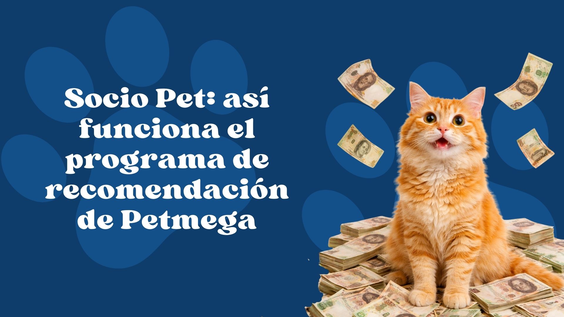 Socio Pet: así funciona el programa de recomendación de Petmega