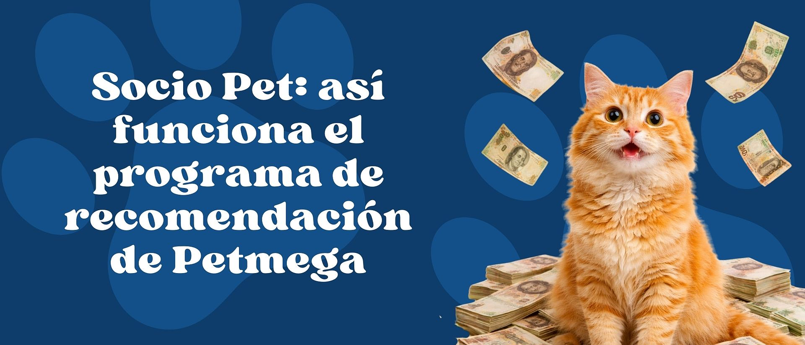 Socio Pet: así funciona el programa de recomendación de Petmega