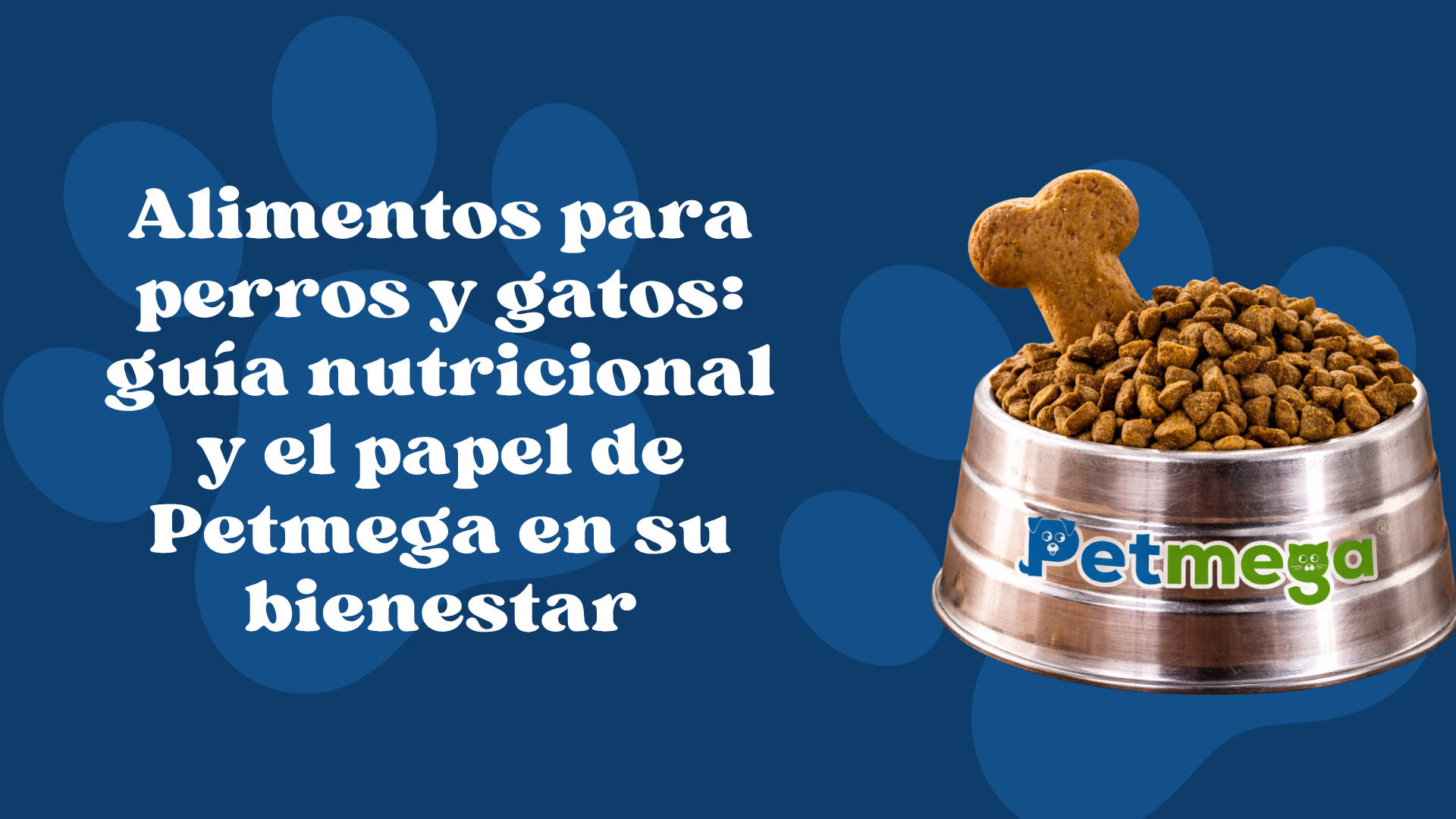 Alimentos para perros y gatos: guía nutricional y el papel de Petmega en su bienestar