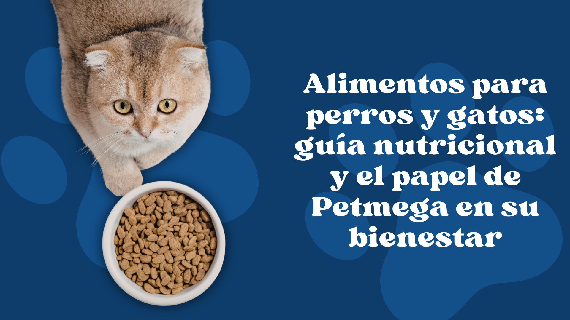 Croquetas para mascotas: riesgos, calidad nutricional y el papel de Petmega