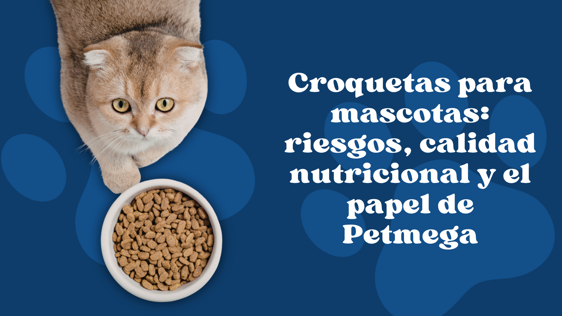 Croquetas para mascotas: riesgos, calidad nutricional y el papel de Petmega