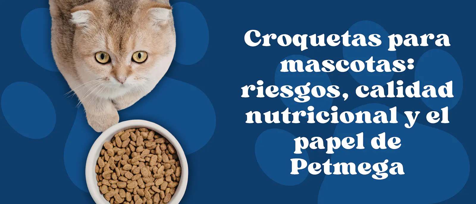 Croquetas para mascotas: riesgos, calidad nutricional y el papel de Petmega