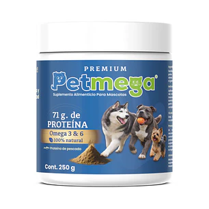 Próximo Lanzamiento