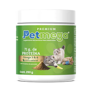 Próximo Lanzamiento
