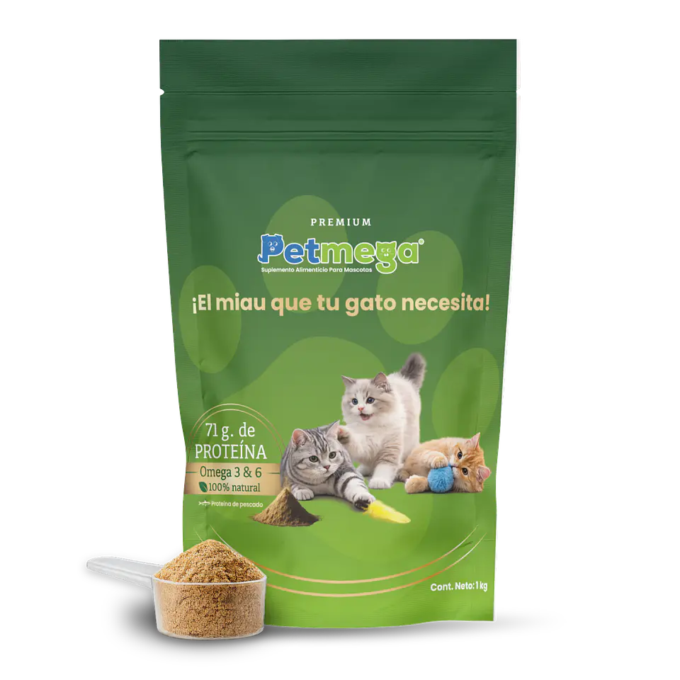 Próximo Lanzamiento 1
