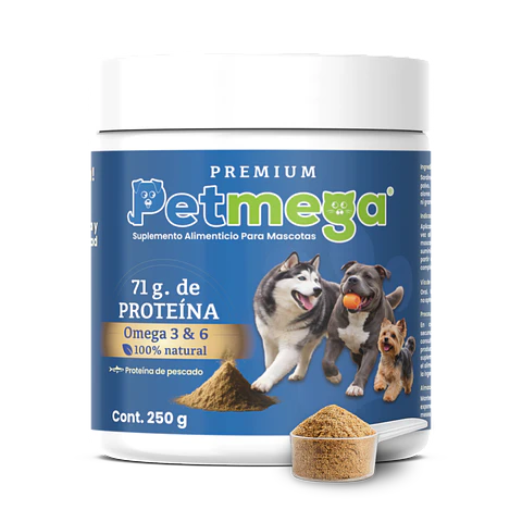 Próximo Lanzamiento