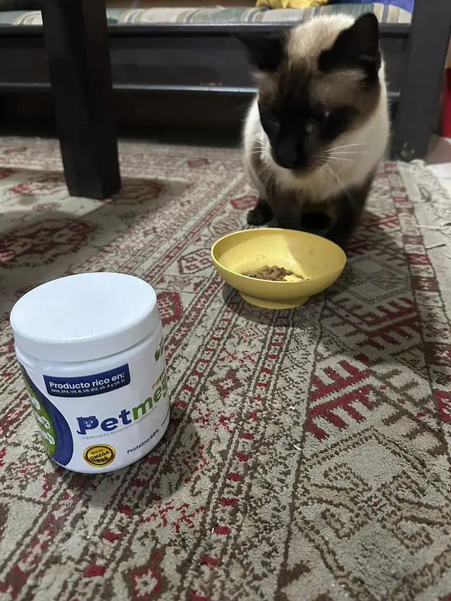 ¡Es el Miau que mi gato necesitaba!
