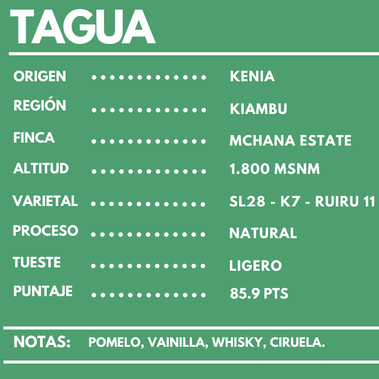 Café Tagua 3