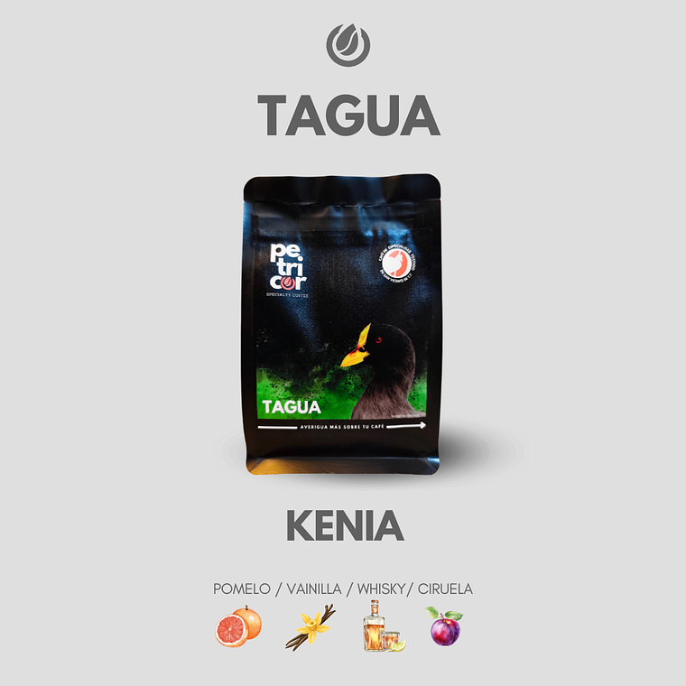 Café Tagua 2