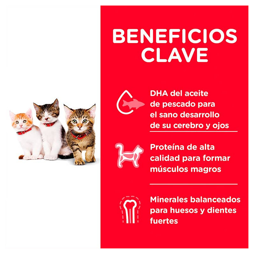 Hills Kitten Gato 1.5 Kg 4