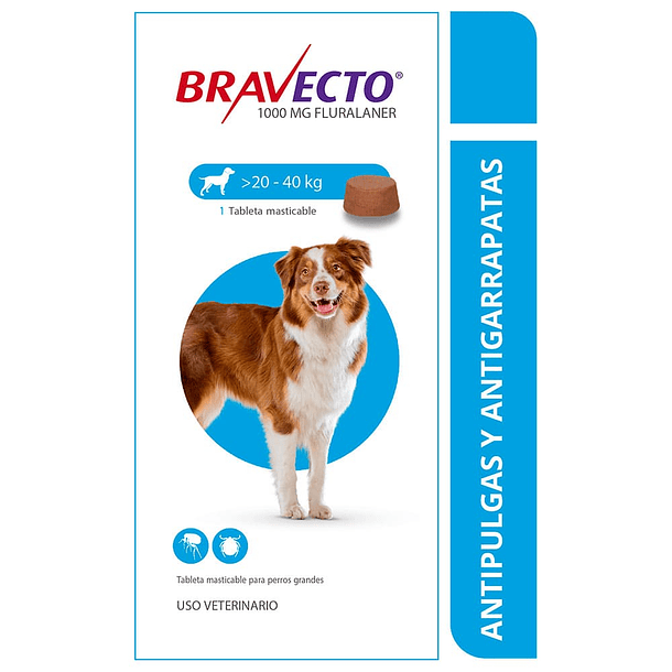 Bravecto Antiparasitario Oral Canino 20 - 40 kg 2