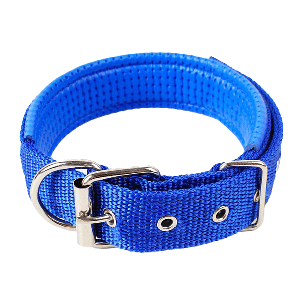 Productos Juliao Collar Nylon 2.5 x 50 cm  3