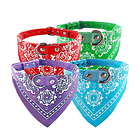 Productos Juliao Collar Pañoleta 1 x 32 cm 1