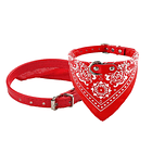 Productos Juliao Collar Pañoleta 1 x 32 cm 4