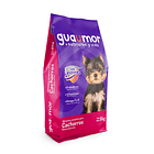 Guamor Cachorro Razas Pequeñas y Miniatura  1