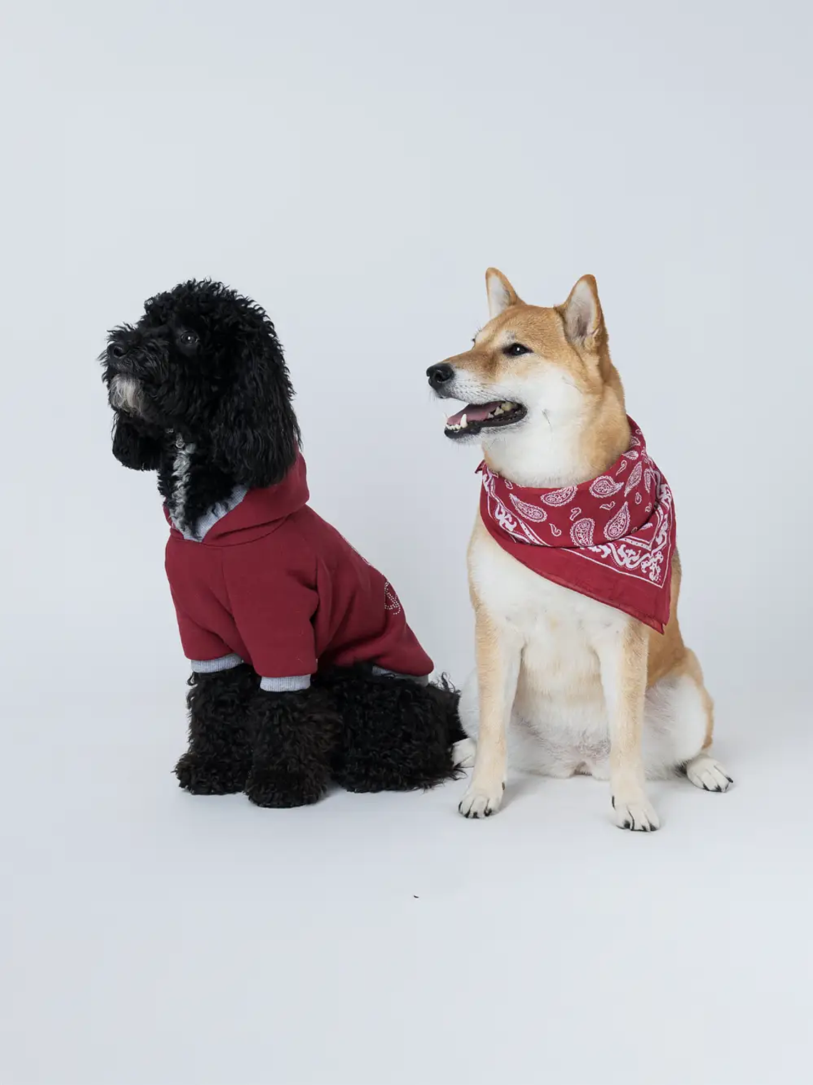 Roupas de demonstração 3