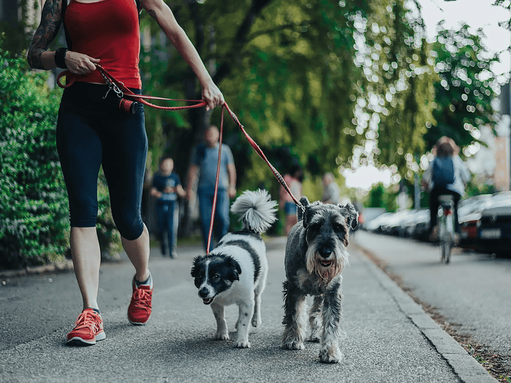 A importância da caminhada diária