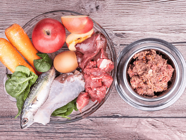 Alimentação natural: a mudança que o seu cão precisa.