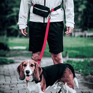 Cinturón de Correr Hands Free con Riñonera 2.0 x 180 cm para Perros