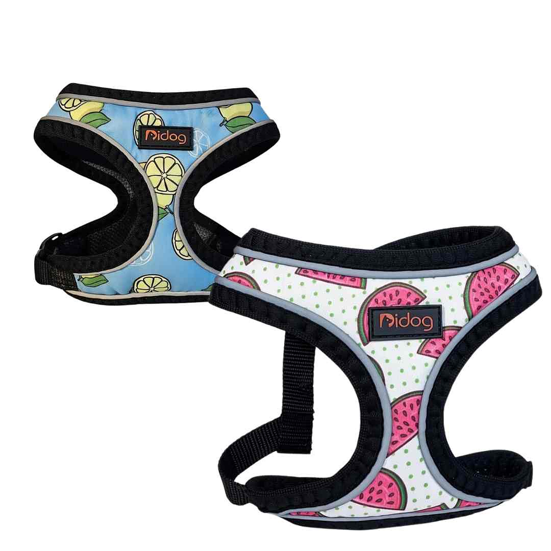 Arnés Pidog Step-In Talla XS – Chaleco para Perros Pequeños y Cachorros 1