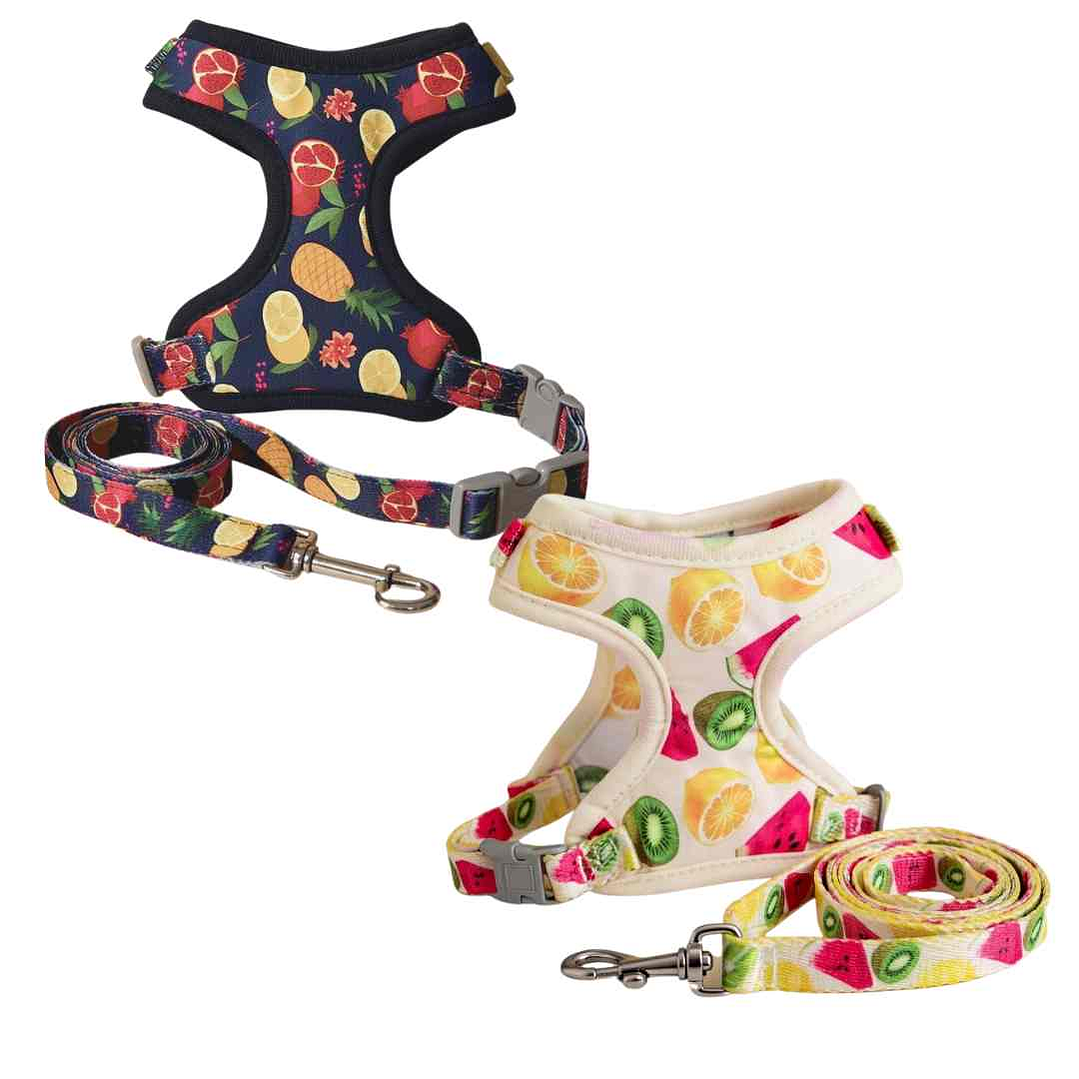 Set Arnés con Correa + Correa Talla S – Para Perros Pequeños 1