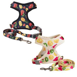 Set Arnés con Correa + Correa Talla S – Para Perros Pequeños