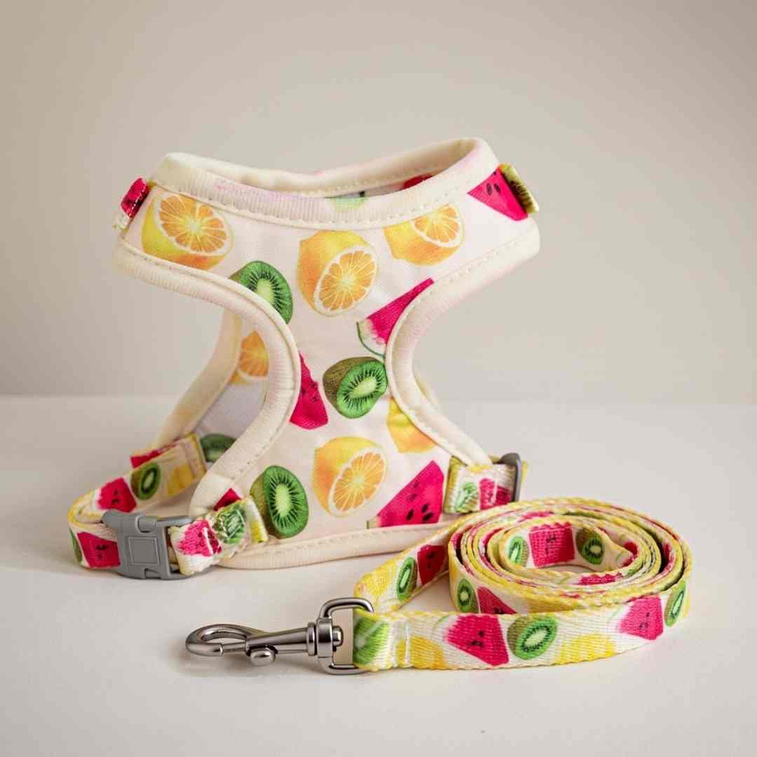 Set Arnés con Correa + Correa Talla S – Para Perros Pequeños 2