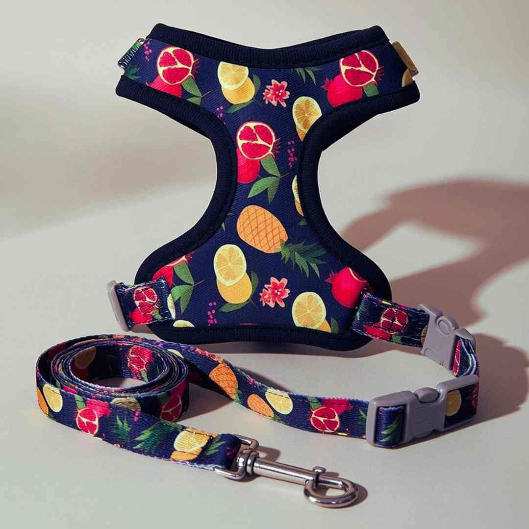 Set Arnés con Correa + Correa Talla S – Para Perros Pequeños 3