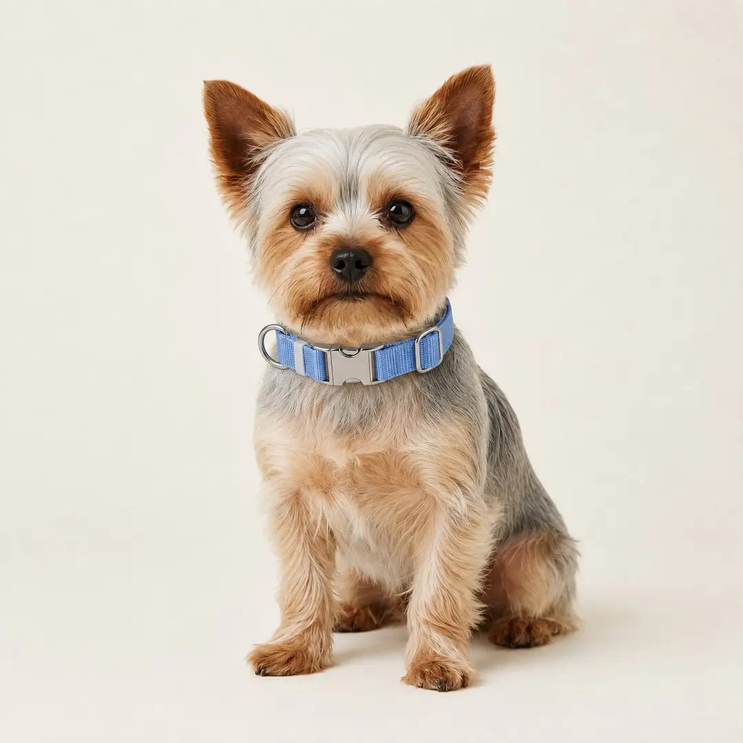 Collar Perros Talla S - Celeste 1