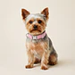 Collar Ajustable para Perros Talla S Rosado - Miniatura 1