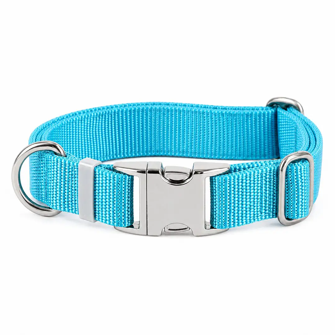 Collar Ajustable para Perros Talla S Turquesa 2
