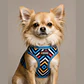 Arnés de pecho para Perros Talla S Rombos de Colores - Miniatura 1