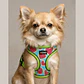 Arnés de pecho para Perros Talla S Verde Corazones - Miniatura 1