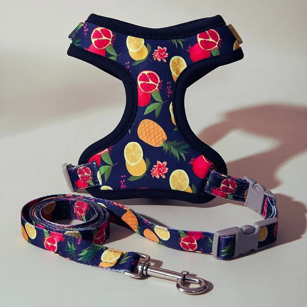Set Arnés con Correa para Perros Talla S Azul 2