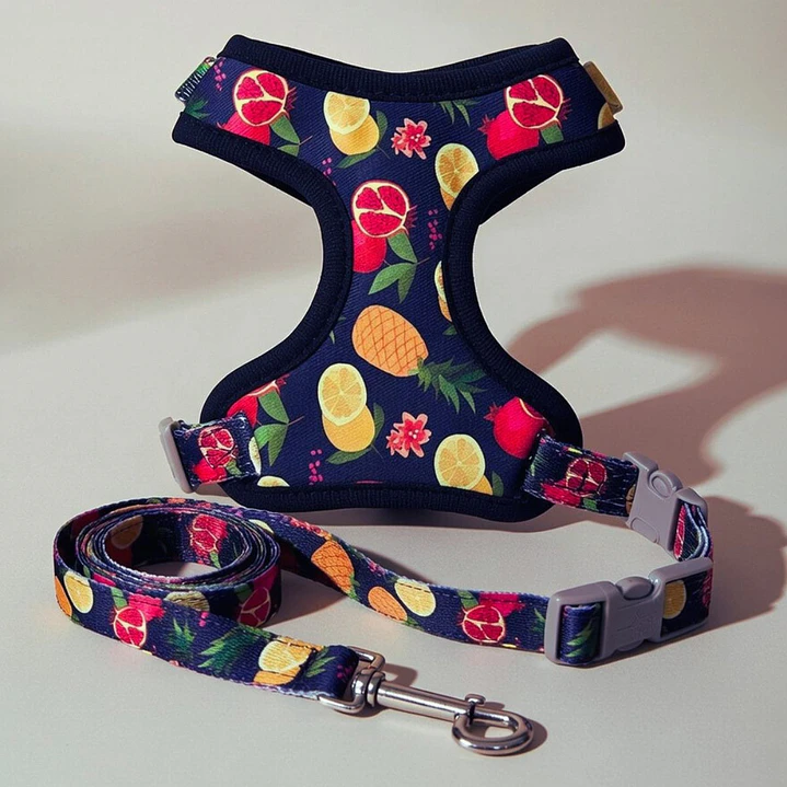 Set Arnés con Correa para Perros Talla S Azul 2