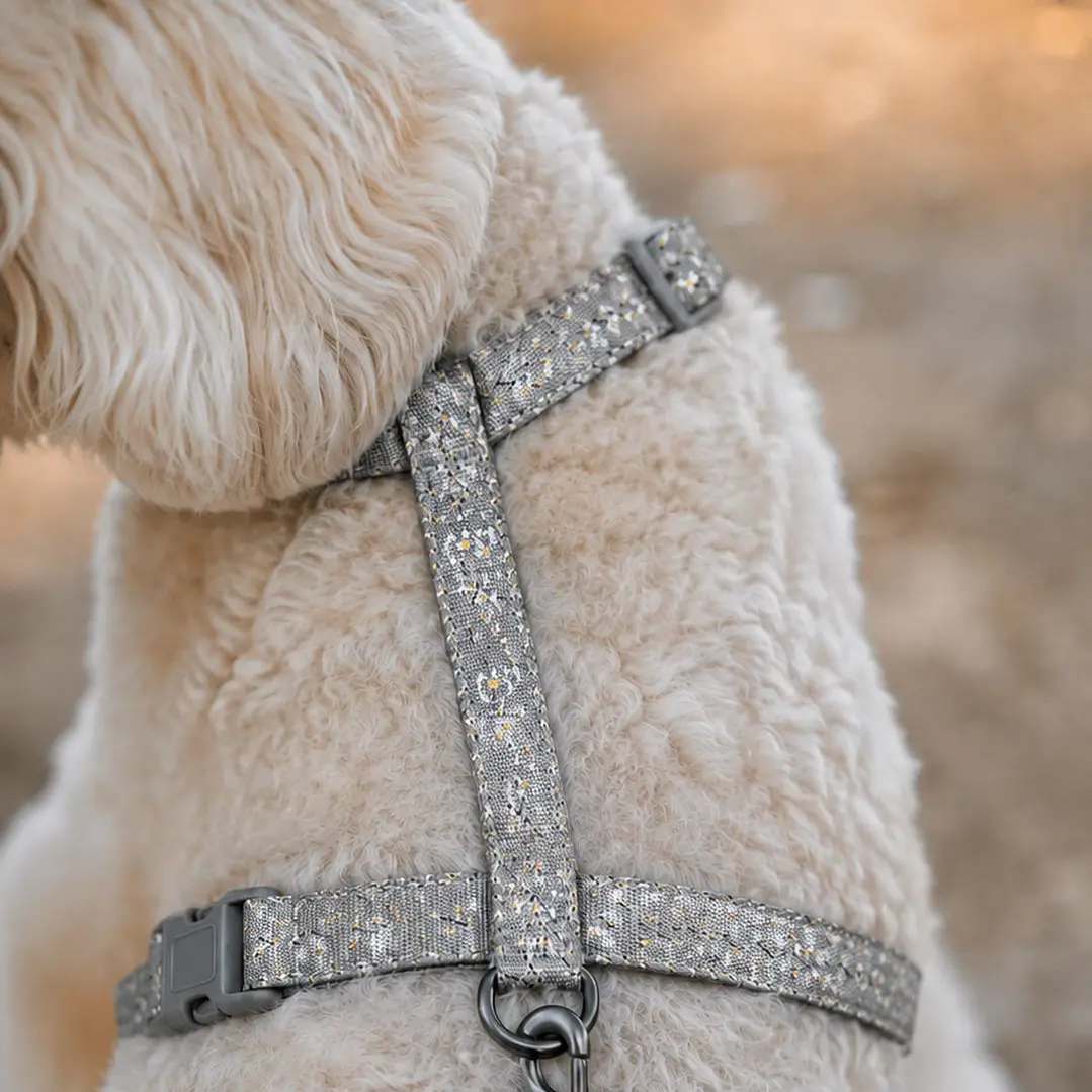 Set Arnés con Correa para Perros Talla M Gris 1