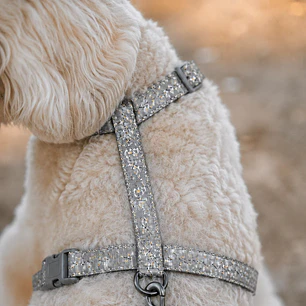 Set Arnés con Correa para Perros Talla M Gris