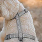 Set Arnés con Correa para Perros Talla M Gris - Miniatura 1