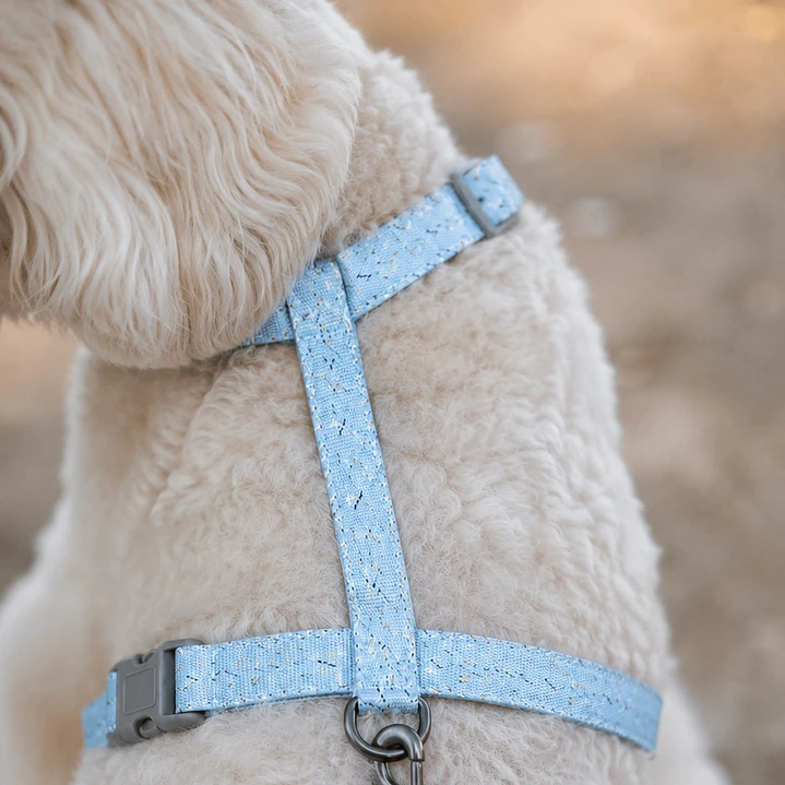 Set Arnés con Correa para Perros Talla M Celeste 1