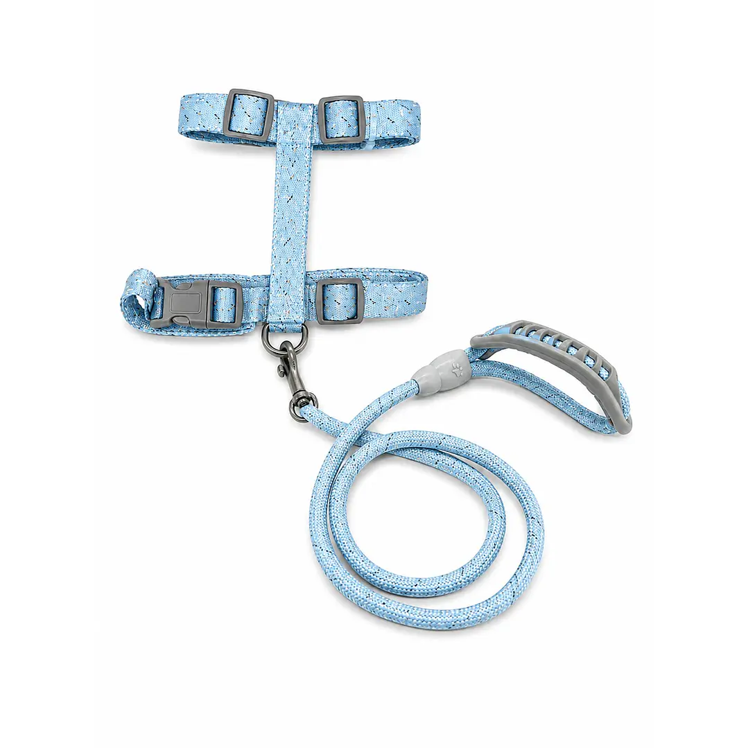 Set Arnés con Correa para Perros Talla M Celeste 2