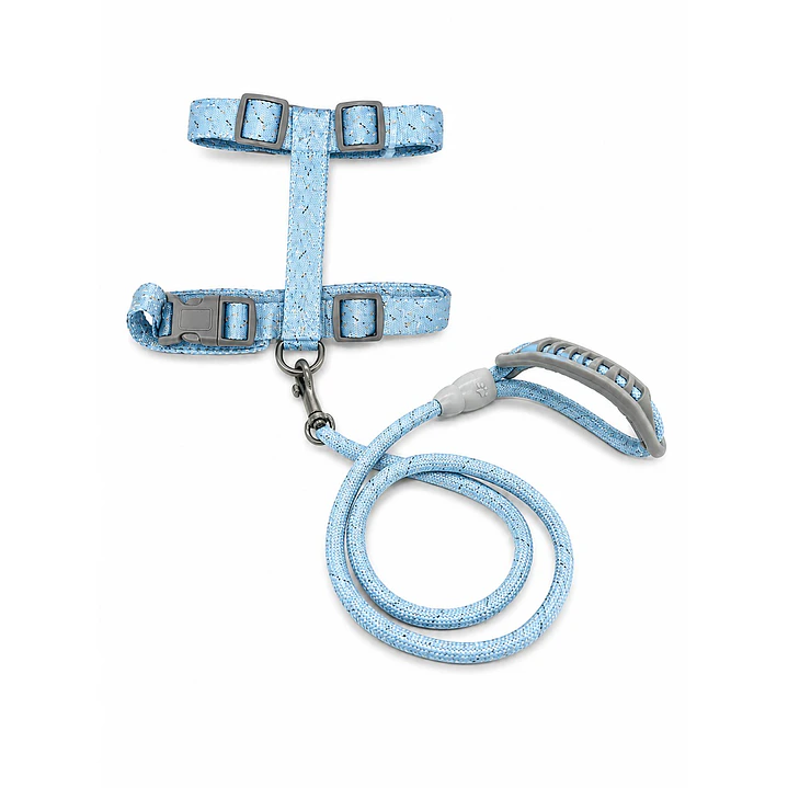 Set Arnés con Correa para Perros Talla M Celeste 2