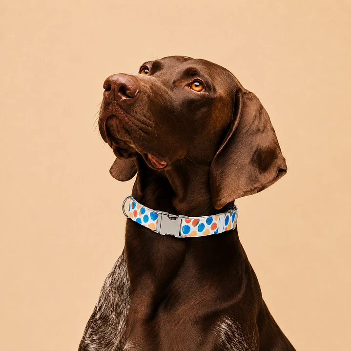 Collar Ajustable para Perros Talla L Manchas 1