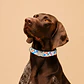 Collar Ajustable para Perros Talla L Manchas - Miniatura 1