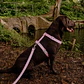 Arnés de Tela para Perros Talla L Rosado - Miniatura 1