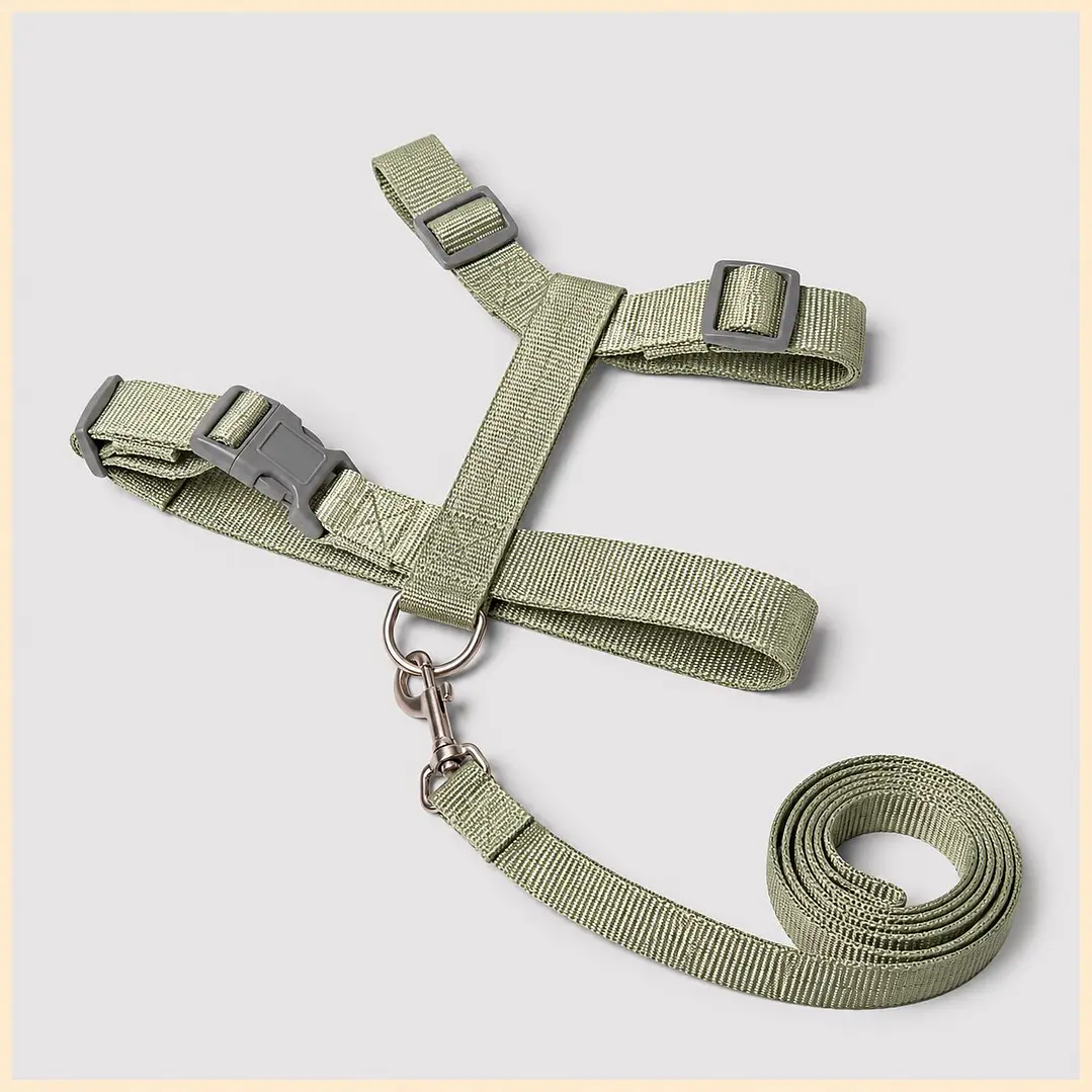 Set Arnés de Tela para Perros Talla L Verde 2