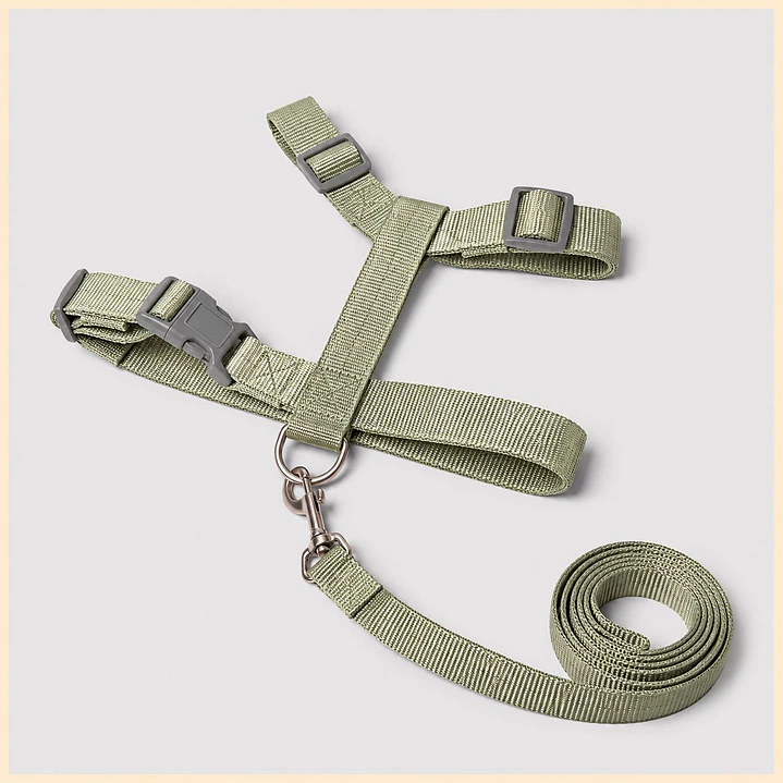 Set Arnés de Tela para Perros Talla L Verde 2