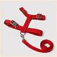 Set Arnés + correa de Tela para Perros Talla L Rojo - Miniatura 2