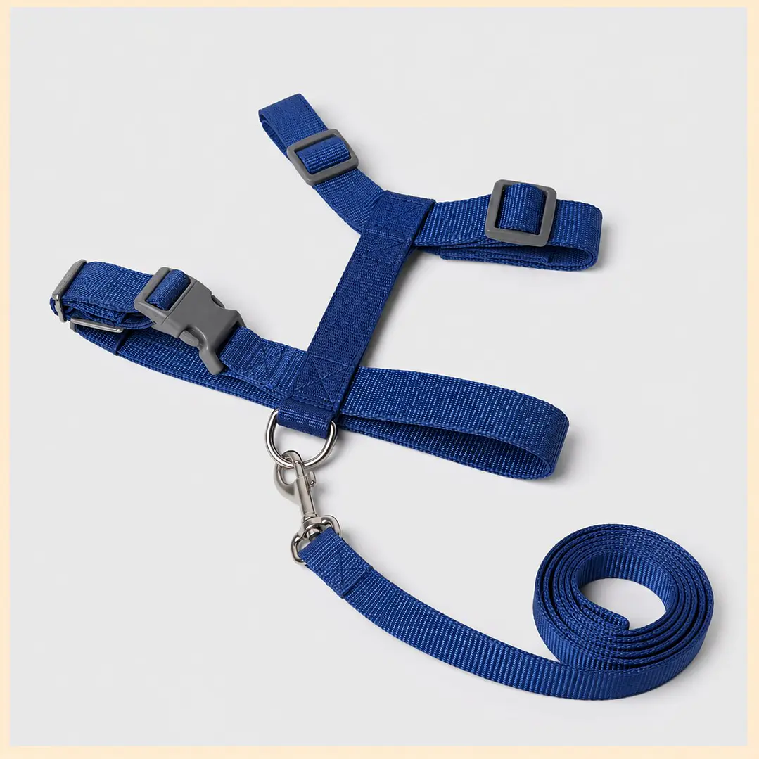 Set arnés + correa de Tela para Perros Talla L Azul 2