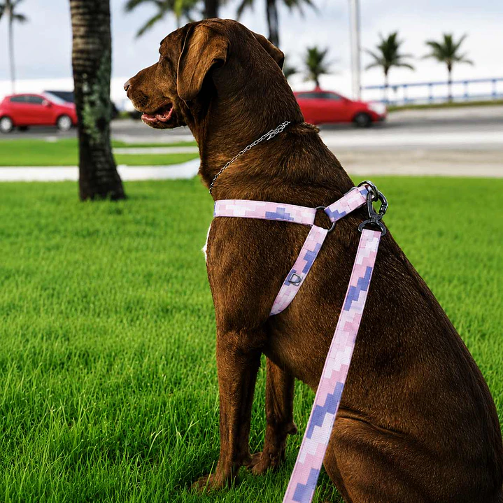 Arnés Deluxe Ajustable para Perros Talla L Rosado y Lila 3