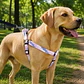 Arnés Deluxe Ajustable para Perros Talla L Rosado y Lila - Miniatura 1
